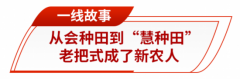 片区辐射带动山东粮食减产提质示范工程扶植