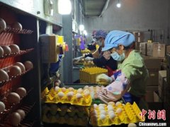 大的鸡舍映入眼皮